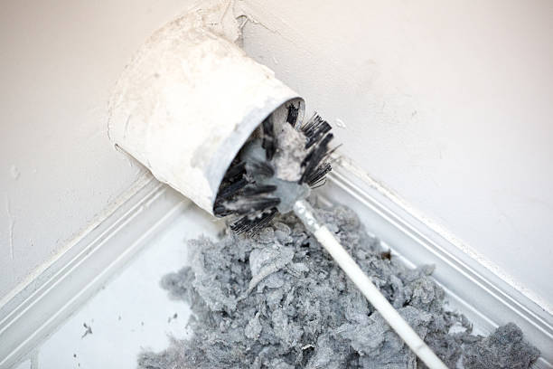 Best Air Duct Cleaning Near Me  in Spring Valley, WI